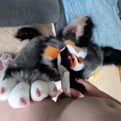 foxgirlnova