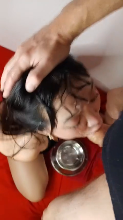 stellalagneia
